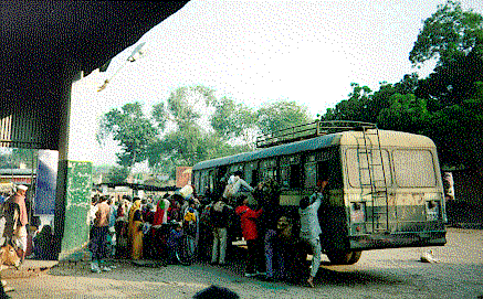 Индия. Раджастан и Гималаи. Автобусы