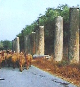 Фотозагадки